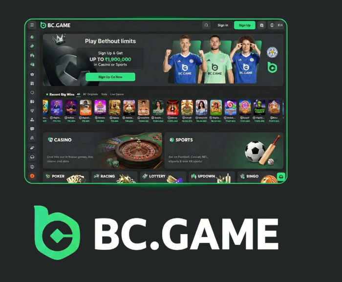 BC.CO Cryptocurrency Online Casino Experience Gaming Revolution