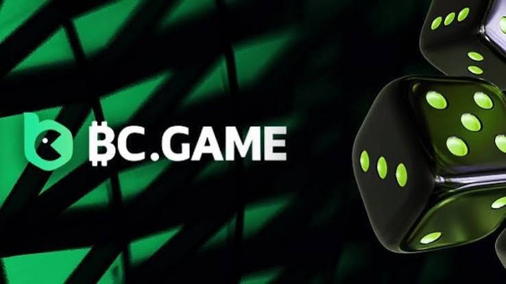 Discover the BC.Game Mirror Mobile App Your Ultimate Gaming Companion
